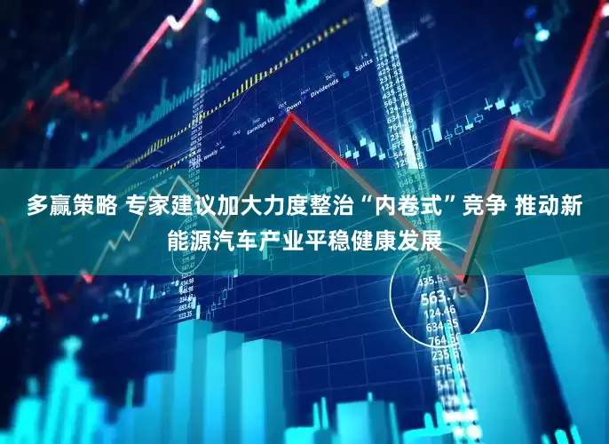 多赢策略 专家建议加大力度整治“内卷式”竞争 推动新能源汽车产业平稳健康发展